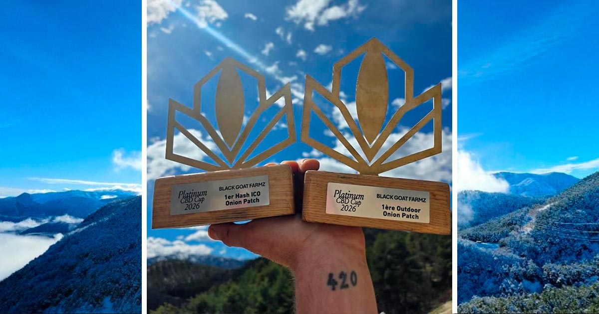 Cacciatore di gocce d'acqua