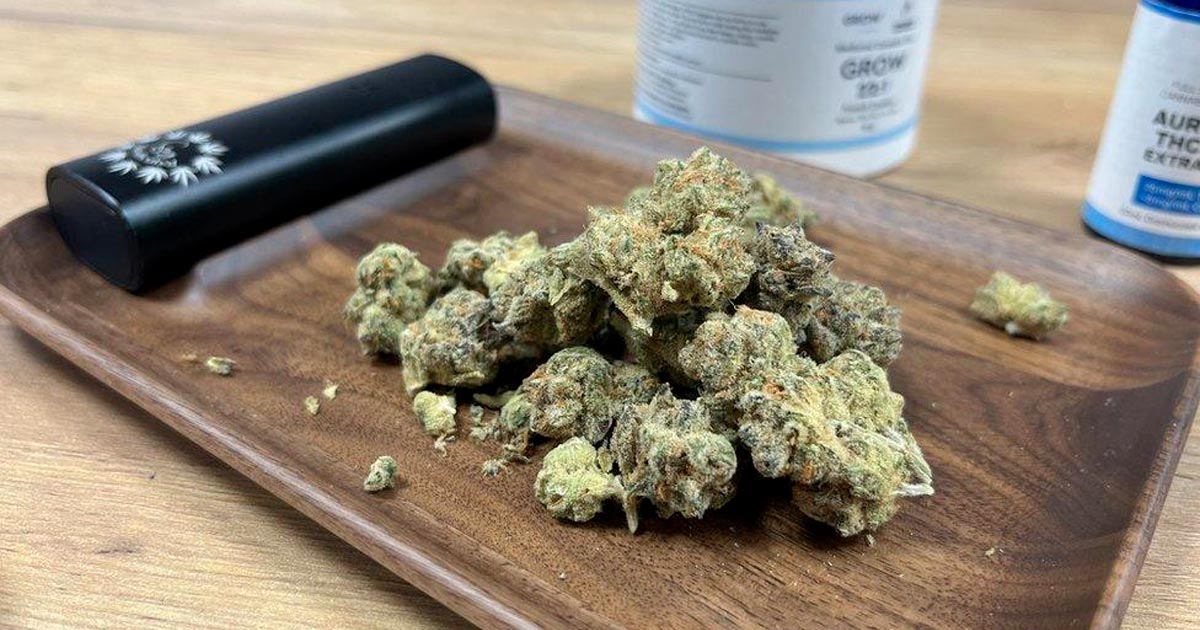 Il programma di cannabis medica fallisce in Irlanda