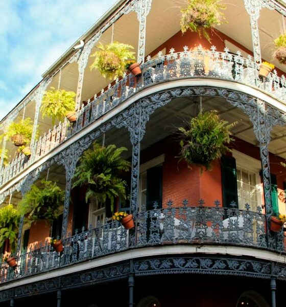 Cannabis medica in Louisiana