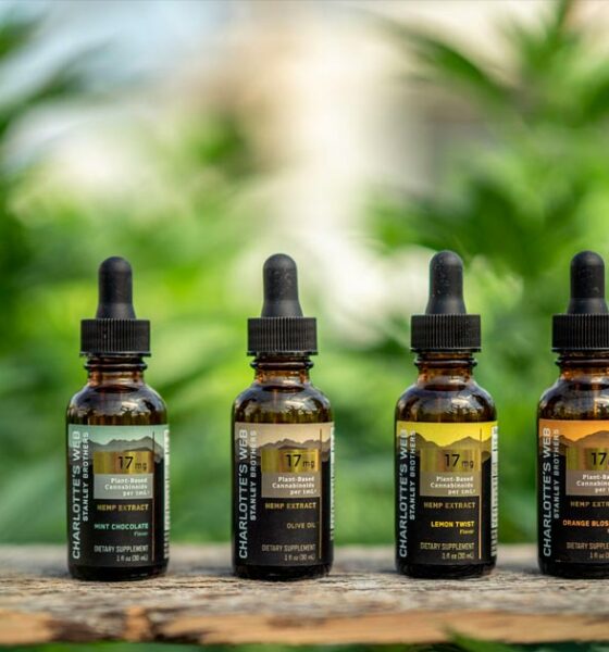 La tela di Carlotta e British American Tobacco