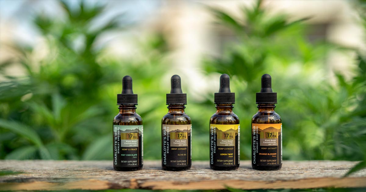 La tela di Carlotta e British American Tobacco