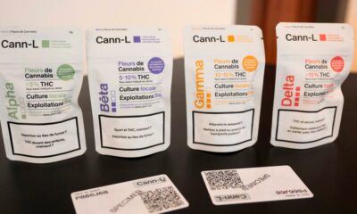 Esperienza di legalizzazione della cannabis a Losanna