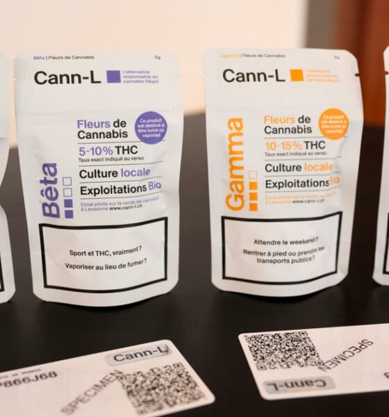 Esperienza di legalizzazione della cannabis a Losanna