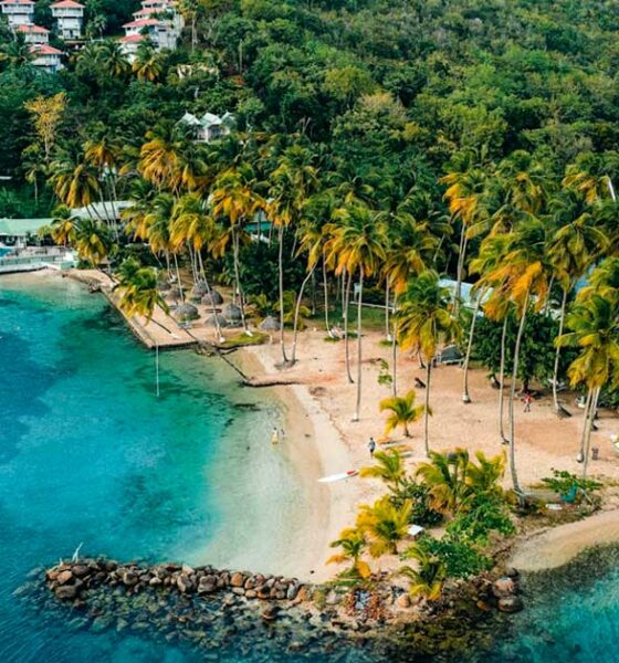 Riflessione sulla legalizzazione della cannabis a Sint-Maarten