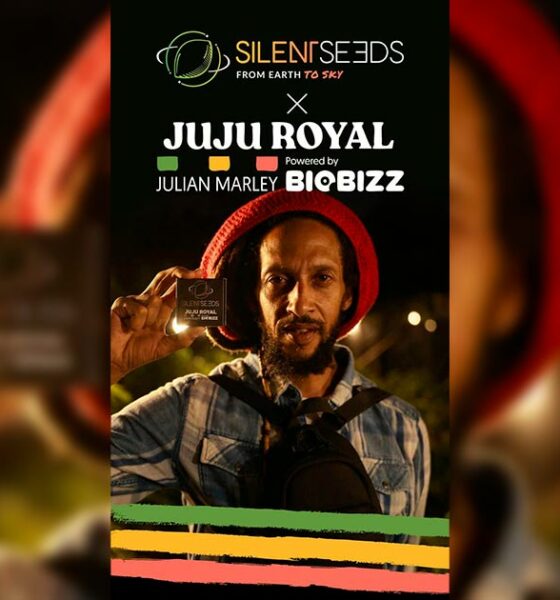 Semi silenziosi e varietà Julian Marley