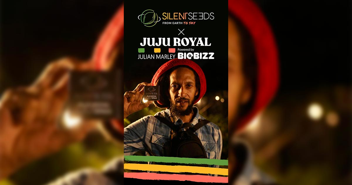 Semi silenziosi e varietà Julian Marley