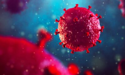 Il CBD potrebbe prevenire l'infezione da HIV