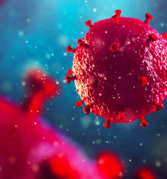 Il CBD potrebbe prevenire l'infezione da HIV