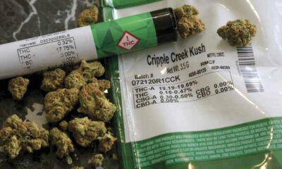 Cannabis terapeutica per i malati terminali in Louisiana