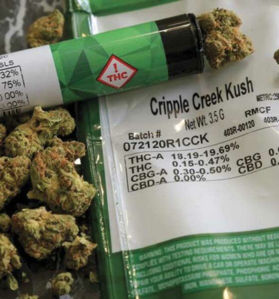 Cannabis terapeutica per i malati terminali in Louisiana