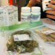 Cannabis medica in forma fumata in Israele