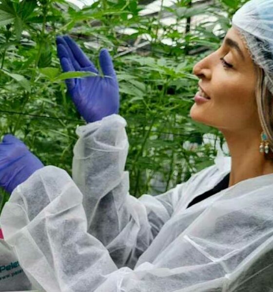 Turbo Cannabis in Israele