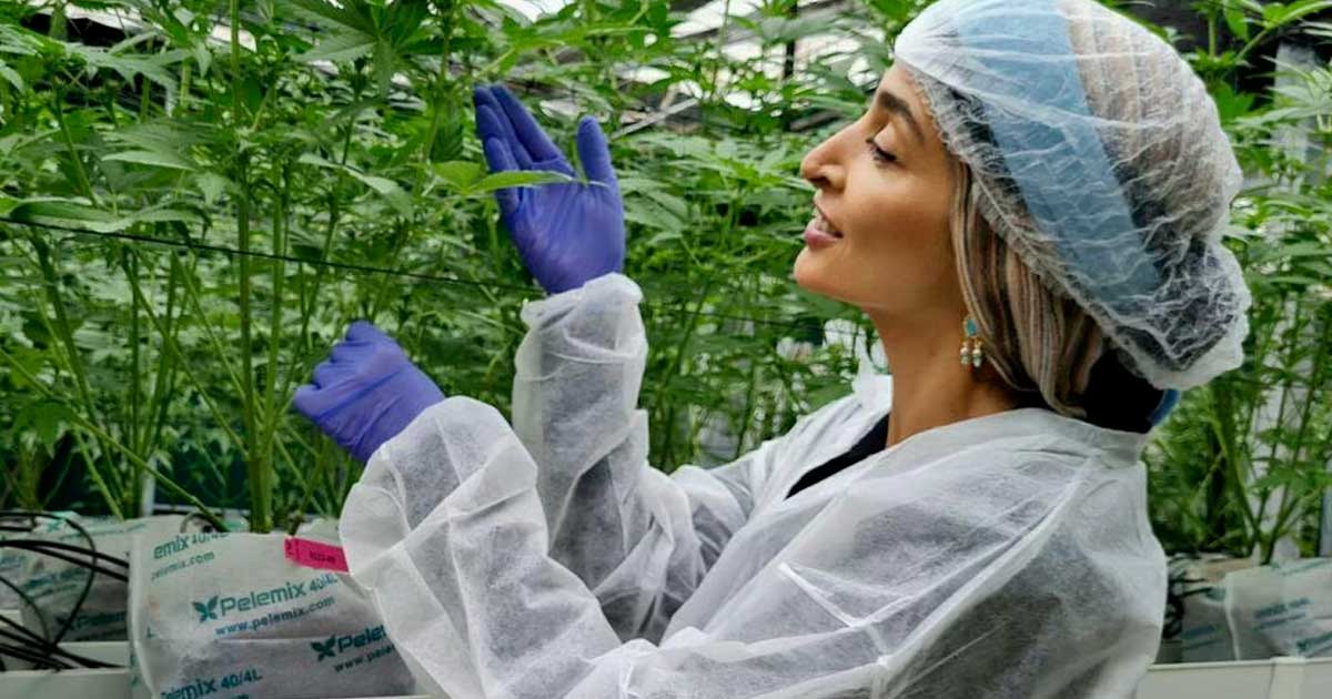 Turbo Cannabis in Israele
