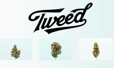 Tweed in Germania