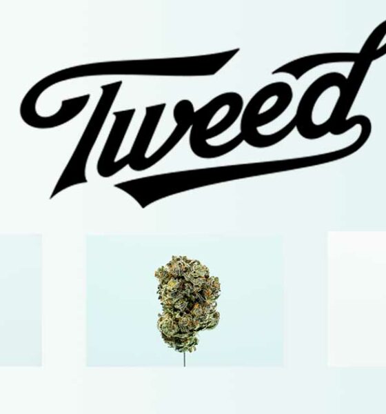 Tweed in Germania