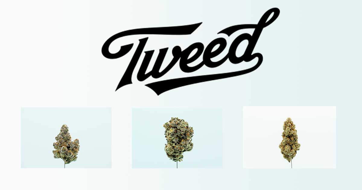 Tweed in Germania