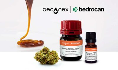 Concentrato di cannabis Bedrocan