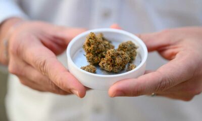 Importare cannabis terapeutica in Germania
