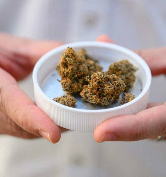 Importare cannabis terapeutica in Germania