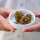 Importare cannabis terapeutica in Germania