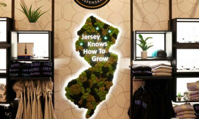 Dispensari di cannabis in New Jersey