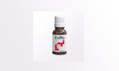 Il VER-10 Exilby di Vertanical