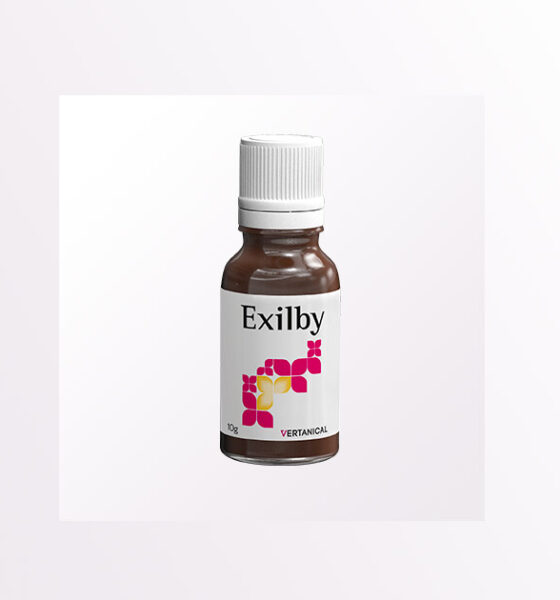Il VER-10 Exilby di Vertanical