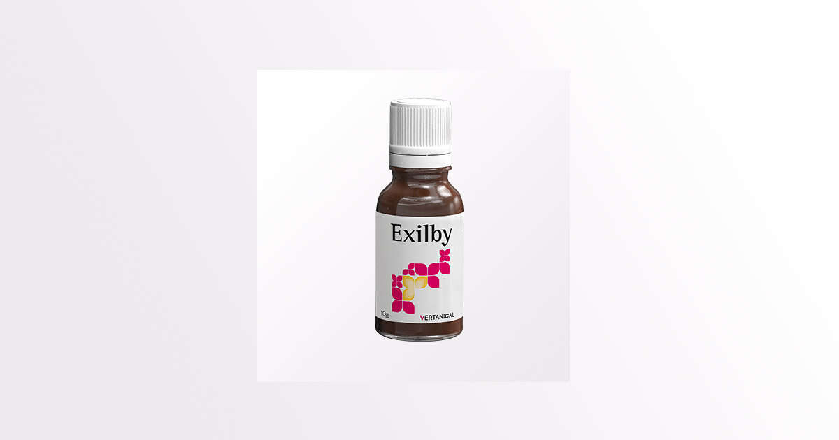 Il VER-10 Exilby di Vertanical