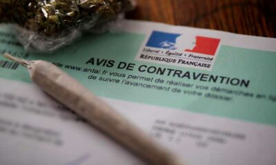 Multa di 500 € per possesso di cannabis