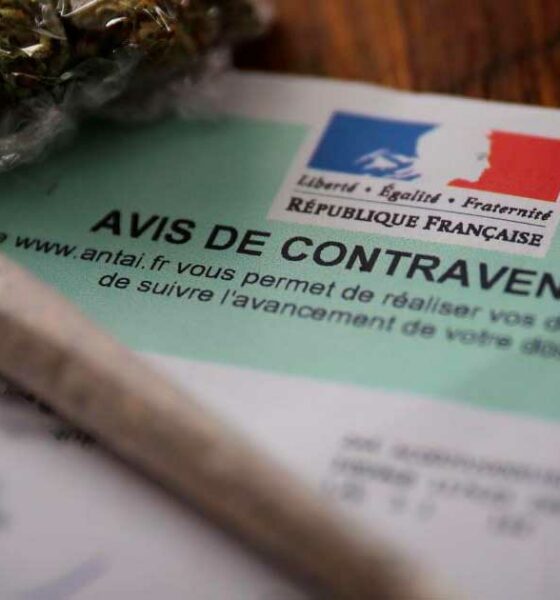 Multa di 500 € per possesso di cannabis