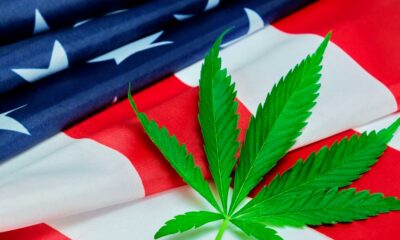 Apertura delle audizioni della DEA sulla riclassificazione della cannabis