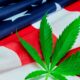 Apertura delle audizioni della DEA sulla riclassificazione della cannabis