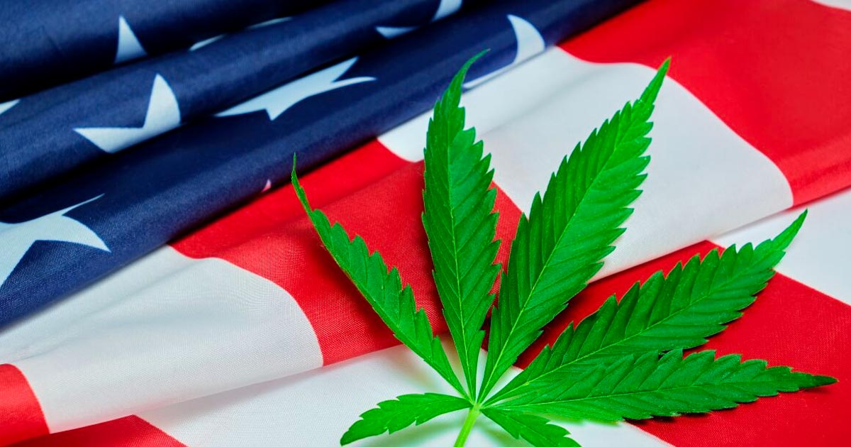 Apertura delle audizioni della DEA sulla riclassificazione della cannabis