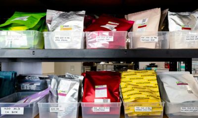 Tendenze relative alla cannabis terapeutica in Germania