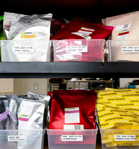 Tendenze relative alla cannabis terapeutica in Germania