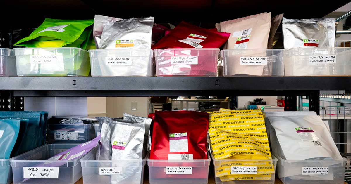 Tendenze relative alla cannabis terapeutica in Germania