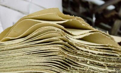 Fibre di canapa nella carta riciclata
