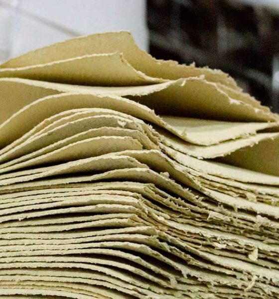 Fibre di canapa nella carta riciclata