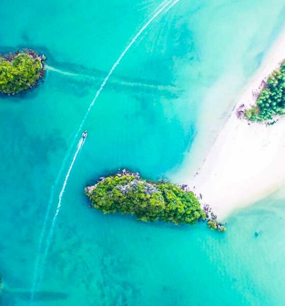 Verso la depenalizzazione della cannabis nelle Isole Cayman