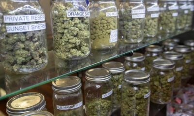 Tassa sui dispensari illegali di cannabis a Los Angeles