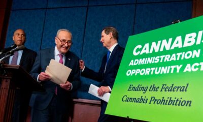 Progetto di legalizzazione della cannabis negli Stati Uniti