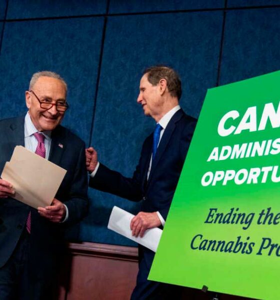 Progetto di legalizzazione della cannabis negli Stati Uniti