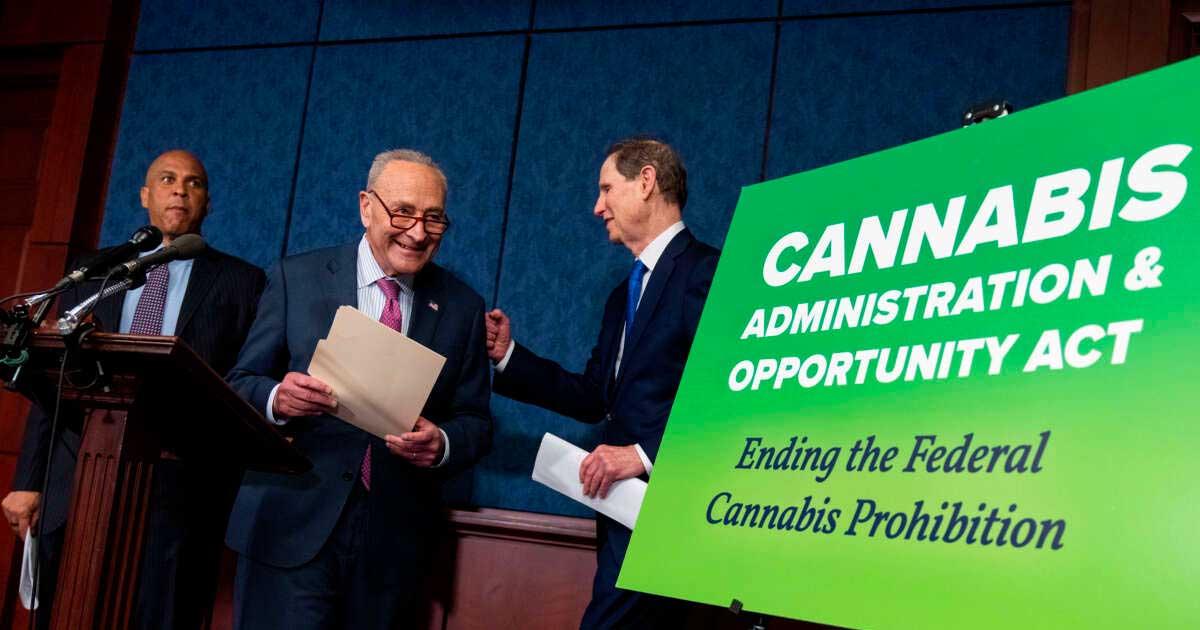 Progetto di legalizzazione della cannabis negli Stati Uniti