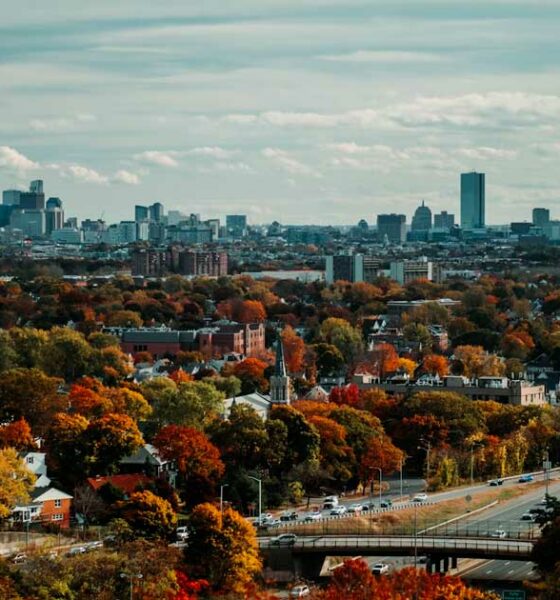 Ritiro della legalizzazione della cannabis nel Massachusetts