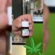 Prescrizione di cannabis terapeutica in Ucraina