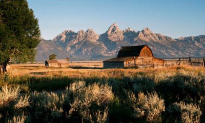 Il Wyoming rifiuta la riclassificazione della cannabis