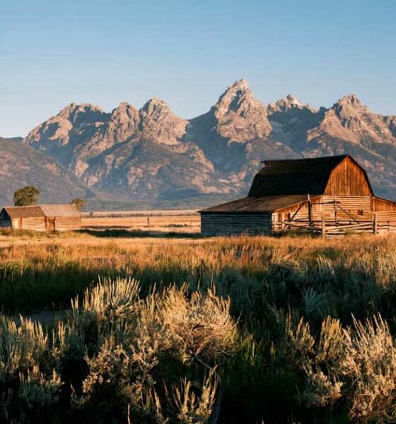 Il Wyoming rifiuta la riclassificazione della cannabis