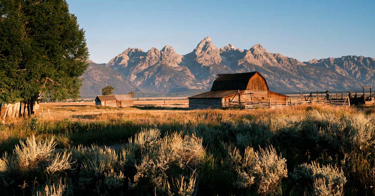 Il Wyoming rifiuta la riclassificazione della cannabis