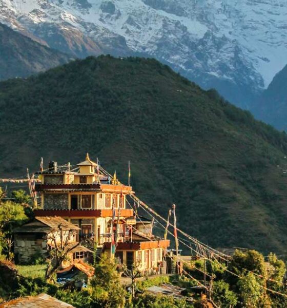 Legalizzazione della cannabis terapeutica in Nepal