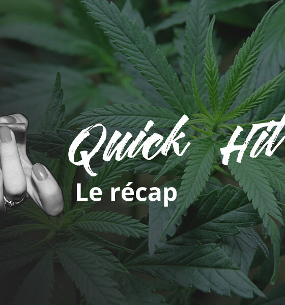 Quick Hit di agosto 2020